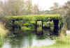 Así estaba de otoñal y verde a la vez  la puente de la Fuente del Hoyo. Lloviznaba (02.11.02)