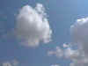estio02.JPG (7257 bytes)